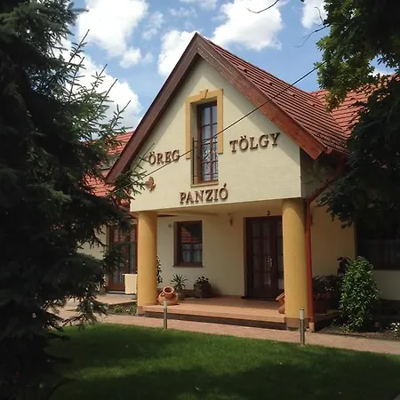 öregtölgy Panzio Vendégház *