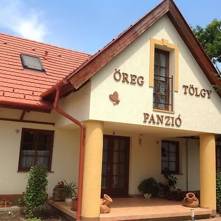 Oeregtoelgy Panzio Csongrád