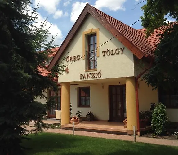 Oeregtoelgy Panzio Гостевой дом 3*